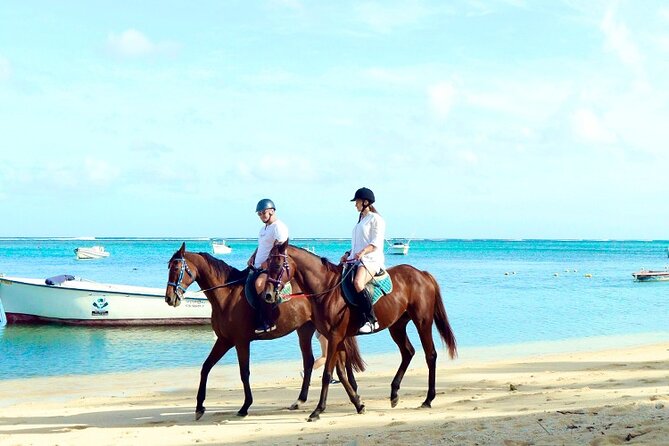 Horse Riding experience by Haras du Morne - Starting at Haras du Morne, then hitting south Mauritius fast