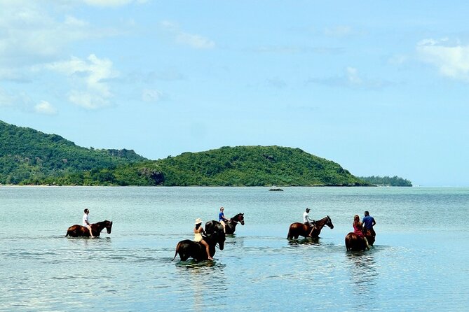 Horse Riding experience by Haras du Morne - Chamarel Rhumerie lunch and rum tasting, a value check
