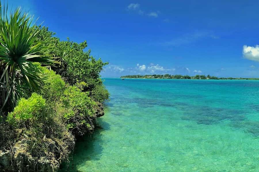 Ile aux Aigrettes Reserve & Blue Bay Glass Bottom Boat - Key takeaways before you go