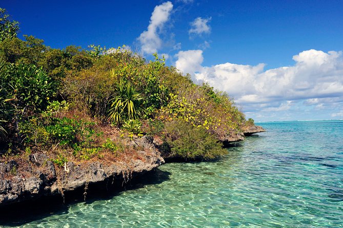 Ile aux Aigrettes - Tea Route - Gris Gris Private Guided Tour (Min. 2 persons) - Key things worth knowing before you go