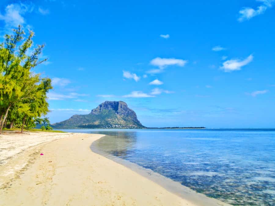 Île aux Bénitiers: Snorkeling w/Dolphins Boat Tour & Lunch - Price and value at about $115 per person