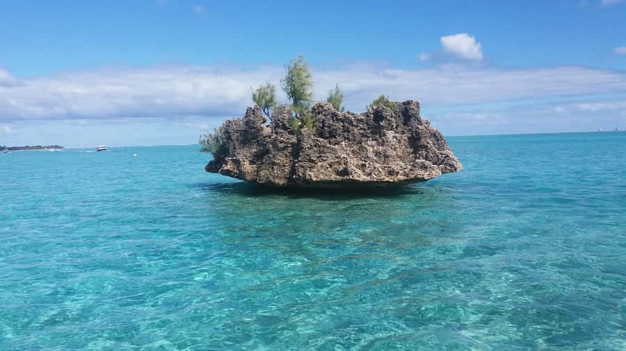 Île aux Bénitiers: Snorkeling w/Dolphins Boat Tour & Lunch - Should you book this Île aux Bénitiers dolphin and Crystal Rock tour?