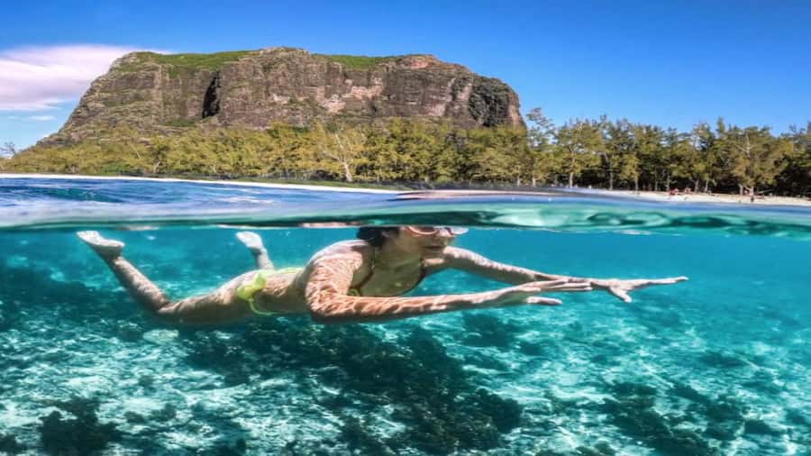 Île aux Bénitiers Snorkeling with Dolphins + Seafood Lunch - Beach Time and Coral Reefs After Lunch: How to Spend Your Free Hours