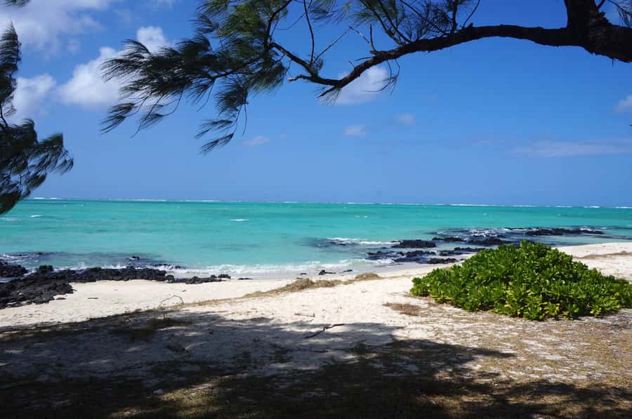 Ile Aux Cerfs Catamaran Cruise sailing from Mahebourg - Key Things You’ll Notice on This Ile Aux Cerfs Catamaran Cruise