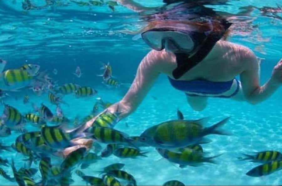 Ile Aux Cerfs Catamaran Cruise with Pick-up/Drop-off & Lunch - Ile aux Cerfs beach time: swimming and snorkeling with real breathing room