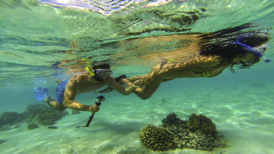 Ile Aux Cerfs Catamaran Trip w/ Lunch, Drinks & Transfer - The crew, guide languages, and how the day stays organized