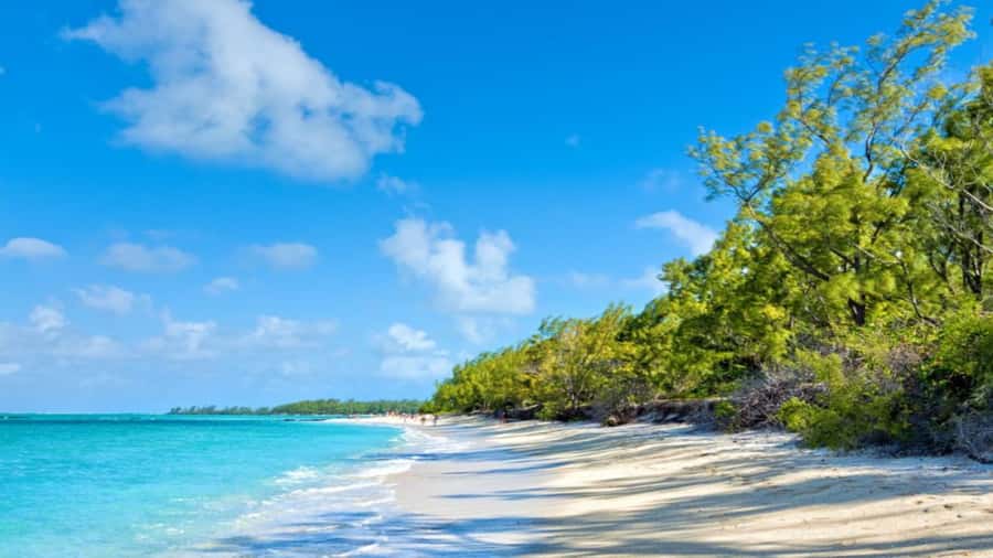 Ile Aux Cerfs Catamaran Trip w/ Lunch, Drinks & Transfer - Price check: is $115 good value for this kind of day?