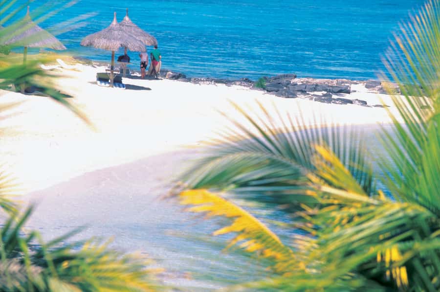 Ile aux Cerfs: Island & Waterfall Speedboat Tour with Lunch - The Waterfall Stop at the End of Mauritius Longest River