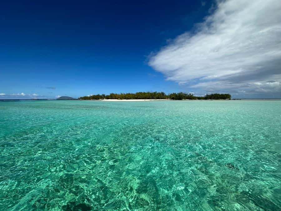 Ile aux Cerfs: Island & Waterfall Speedboat Tour with Lunch - Price and Value: What $55 Buys in 6 Hours