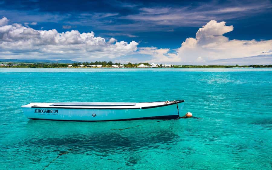 Ile aux cerfs: Private picnic, waterfall, bbq beach lunch - Private speedboat from Trou d’Eau Douce, up close with the coast