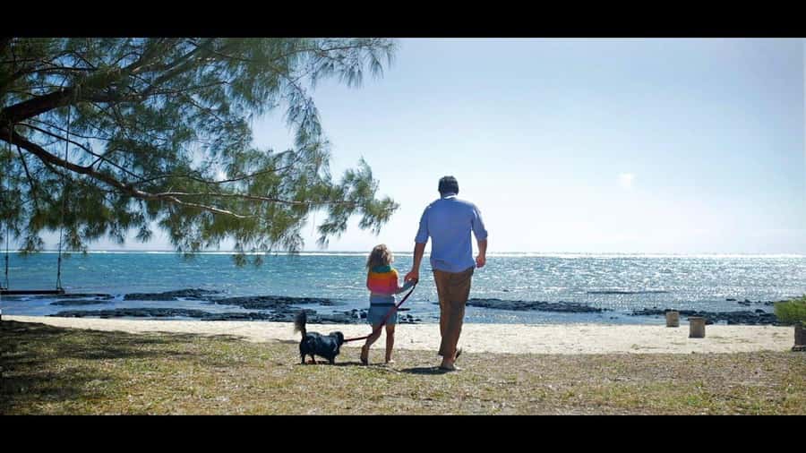 Ile aux cerfs: Private picnic, waterfall, bbq beach lunch - Value for $329, and who this private tour fits best