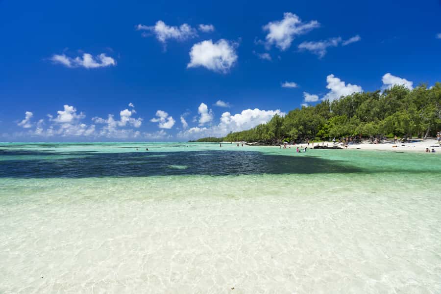 Ile aux Cerfs Speedboat Trip & Transport: Private or Shared - Key things I’d plan around