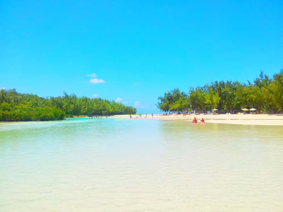 Ile aux Cerfs Speedboat Trip & Transport: Private or Shared - Ile aux Cerfs island time: swimming, hiking, and a reality check on the beach
