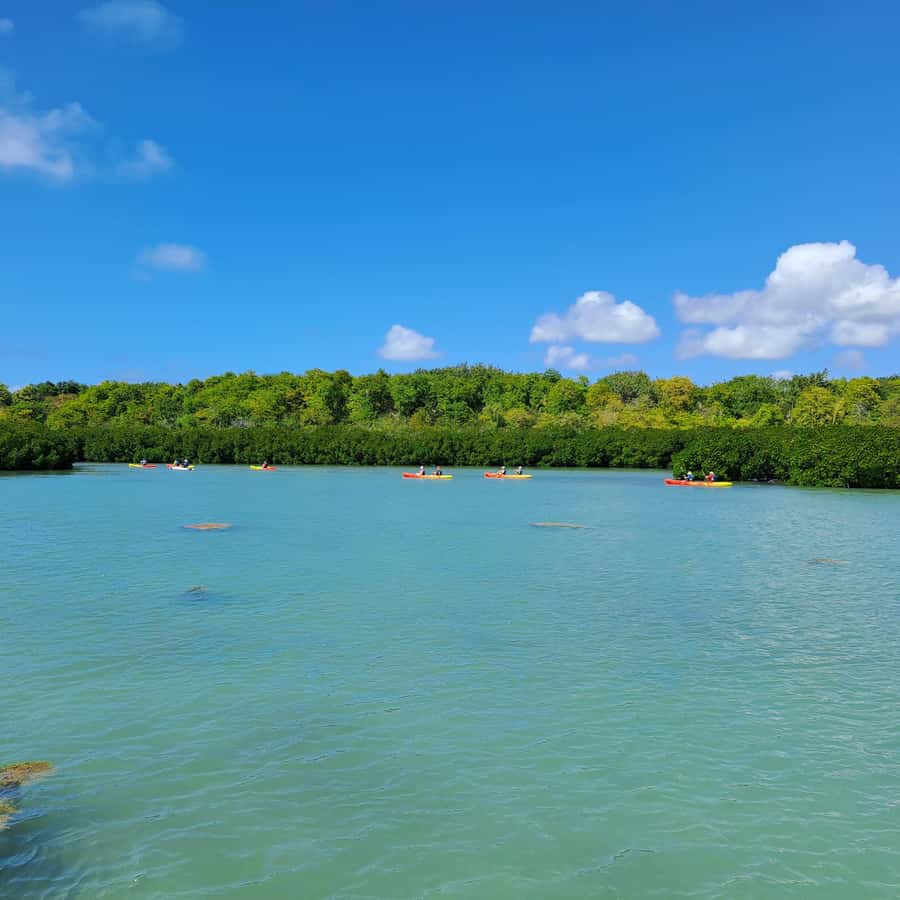 Ile d Ambre Kayaking - Ile d Ambre kayaking: the part of Mauritius that feels quiet