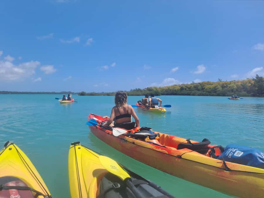 Ile d Ambre Kayaking - The kayak ride: mangroves, pirogues, and that slow wildlife feel