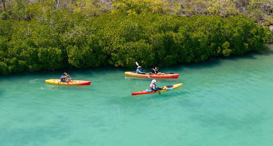 Ile d Ambre Kayaking - The swim and snorkel stop: choose reef-safe habits, not guesswork