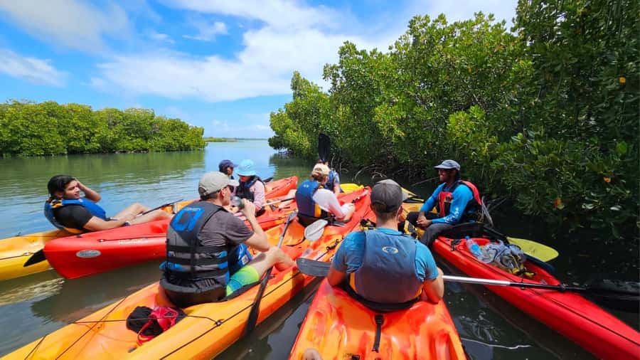 Ile d Ambre Kayaking - Who should book this kayak trip, and who should think twice