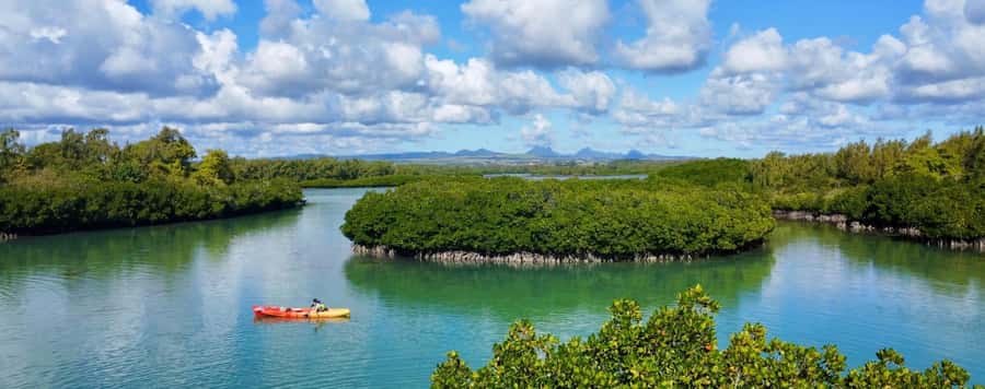 Ile d Ambre Kayaking - Guides and safety: why the briefing matters on a mangrove route