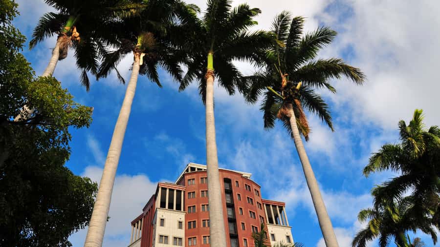 Insta-Worthy City Tour: Unveil Picture-Perfect Spots - Chinatown in Port Louis, where the photos have context