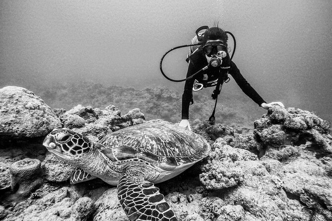Join us for your first bubbles - Who should book this first-time scuba session