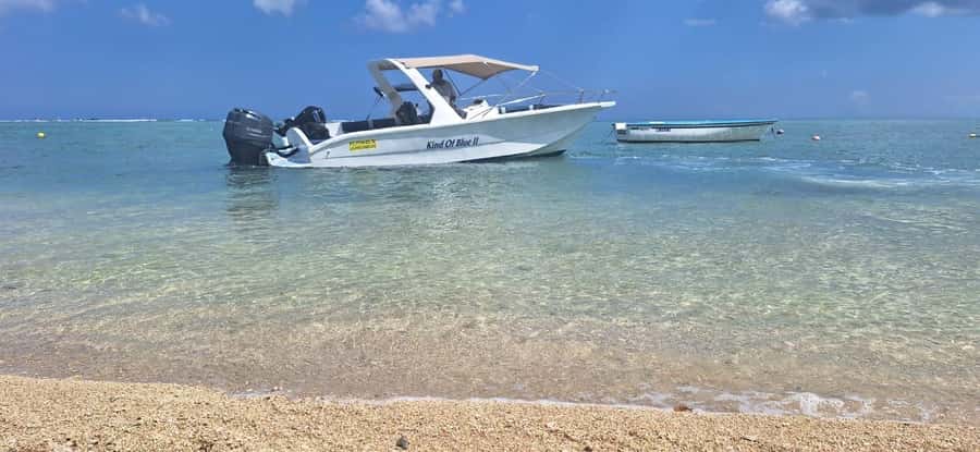 La Preneuse: Dolphin Watching and Snorkeling Speedboat Tour - What to bring so your day runs smoothly