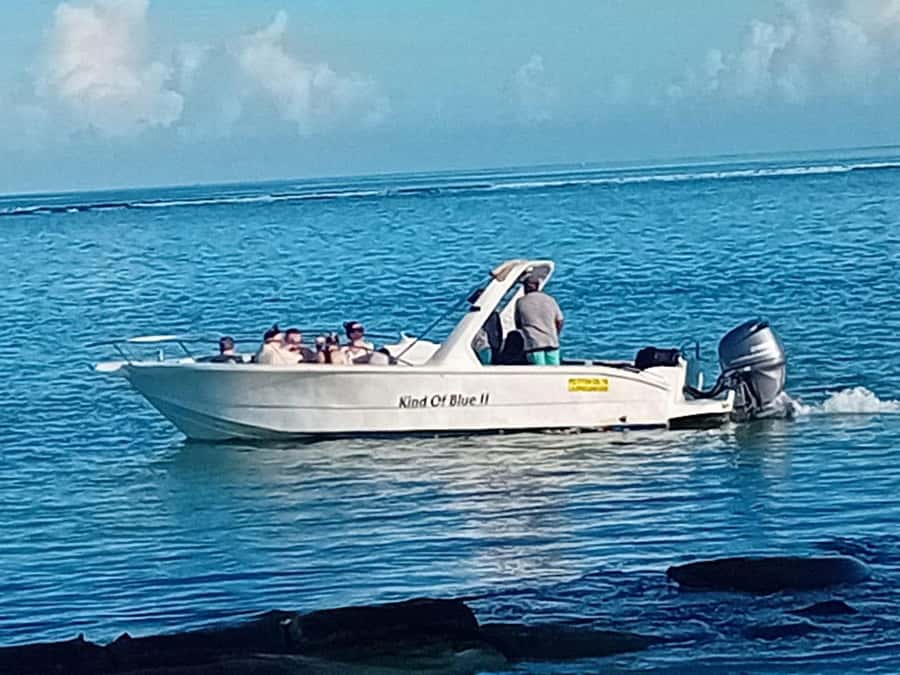 La Preneuse: Dolphin Watching and Snorkeling Speedboat Tour - Water clarity can change quickly, plan for the conditions