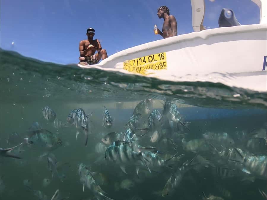 La Preneuse: Dolphin Watching and Snorkeling Speedboat Tour - The 20-minute speedboat ride over Mauritius’ coast