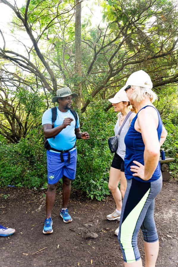 Le Morne Brabant: UNESCO Mountain Hike & Local Guides - What to Bring for a Comfortable, Non-Dramatic Climb