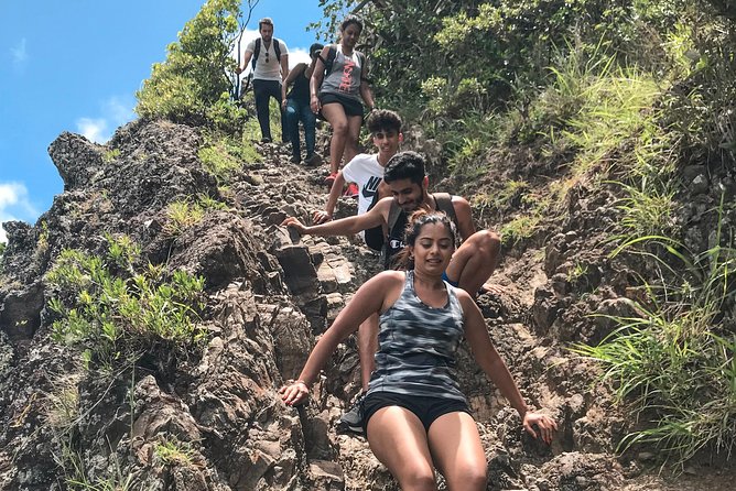 Le Morne Mountain Sunrise Hike & Climb - Wildlife and flora notes: what to watch for on the way up
