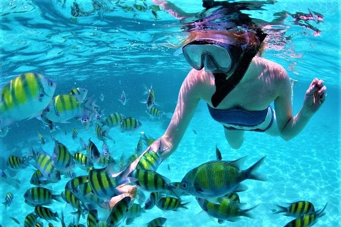 Luxury All-Inclusive Catamaran Cruise to Ile aux Cerfs and GRSE Waterfall - Snorkelling on the tour: included gear, simple decisions