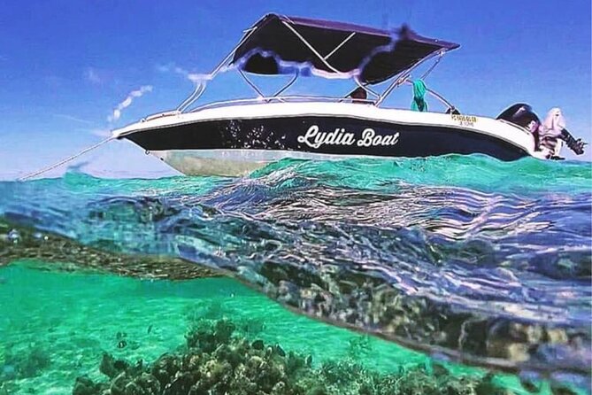 Lydia Boat Mauritius :Private boat tour:Whales&Dolphins encounter - Key things I’d write on a sticky note