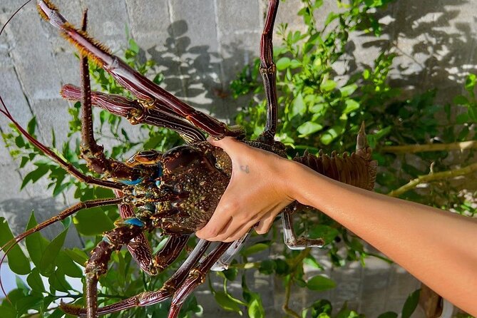 Lydia Boat Mauritius :Private boat tour:Whales&Dolphins encounter - Tasting oysters and sea urchins, then the seafood BBQ with drinks
