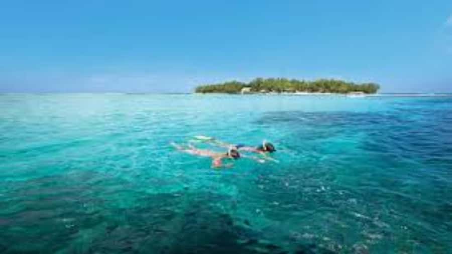 Mahebourg: L'île des Deux Cocos Island Boat Tour with Lunch - Île des Deux Cocos and Blue Bay: What You Actually Do With Your Free Time