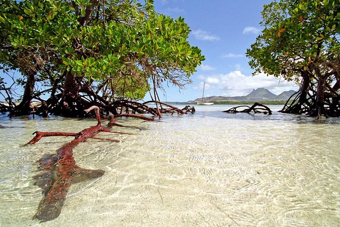 Marvelous Ile aux Cerf island: Speed Boat, Parasailing, Lunch & GRSE waterfall - Key things to know before you go