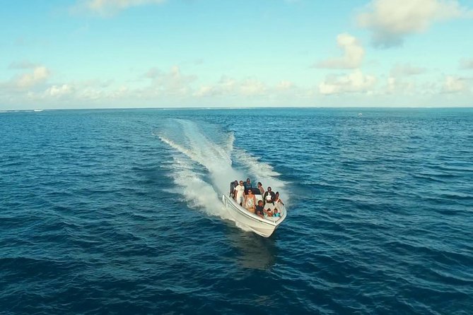 Marvelous Ile aux Cerf island: Speed Boat, Parasailing, Lunch & GRSE waterfall - GRSE waterfall on the way back: wildlife spotting plus a fast return