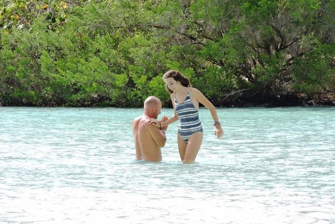 Marvelous Ile aux Cerf island: Speed Boat, Parasailing, Lunch & GRSE waterfall - Price and logistics: whether $138.60 feels fair for what you get