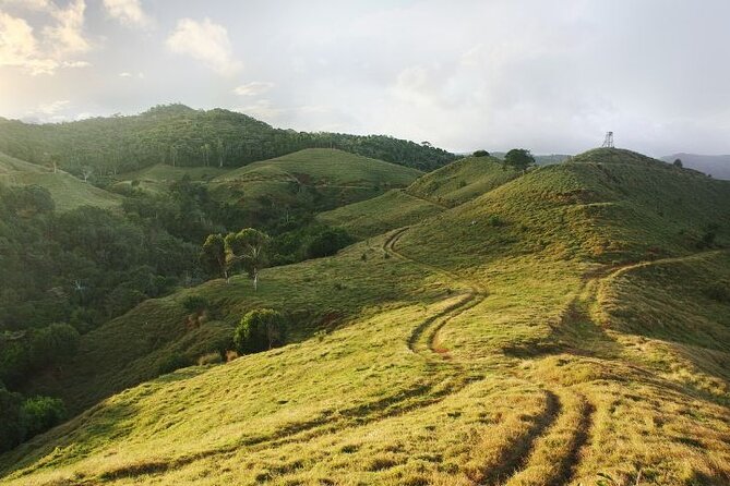Mauritius: 2 Hours Buggy Ride - Bel Ombre Nature Reserve - Meeting at Bel Ombre Nature Reserve, then getting moving