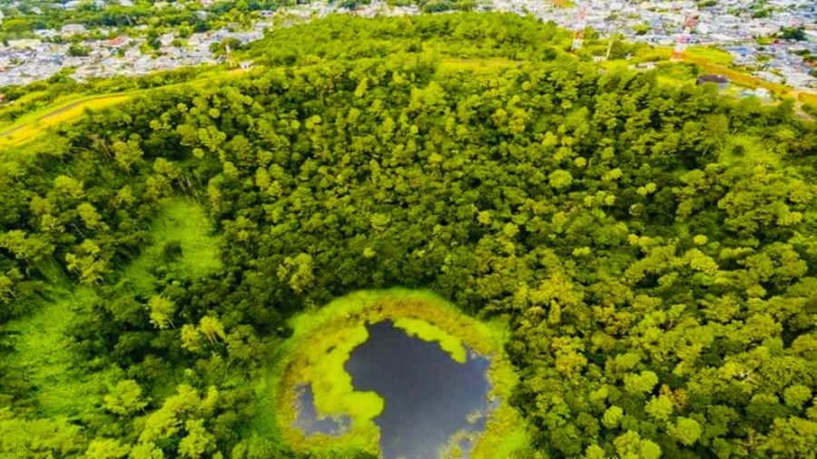 Mauritius: 3 Days Private Authentic Tour with hidden gems - What $380 Per Group Really Buys: Private Driving, Wi-Fi, and the Extra Costs You Must Plan For
