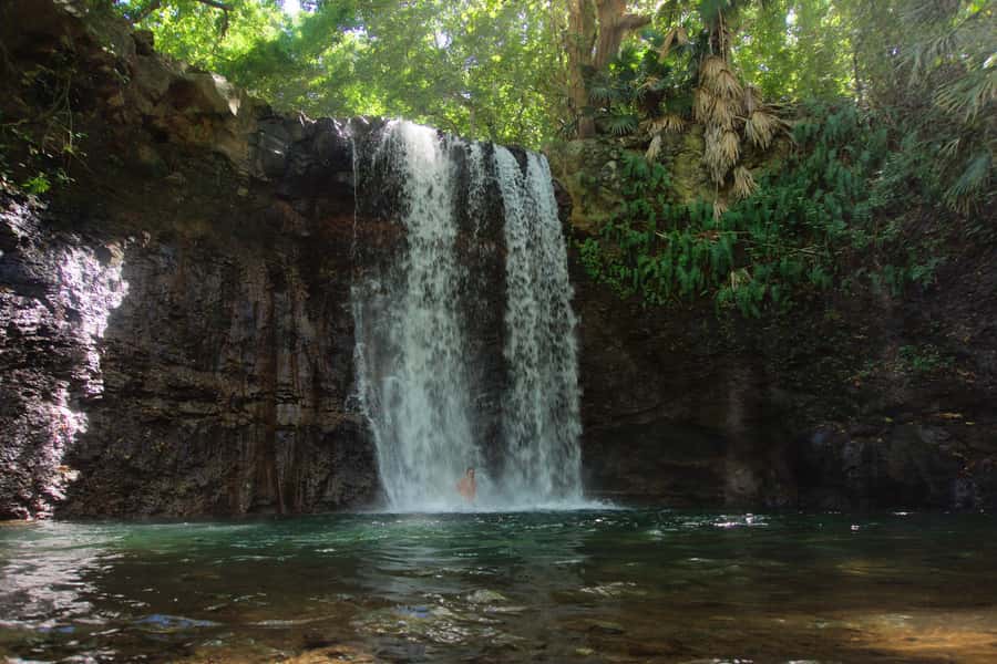 Mauritius: 3-Hour Hiking the Wild South Excursion - Key highlights worth planning around
