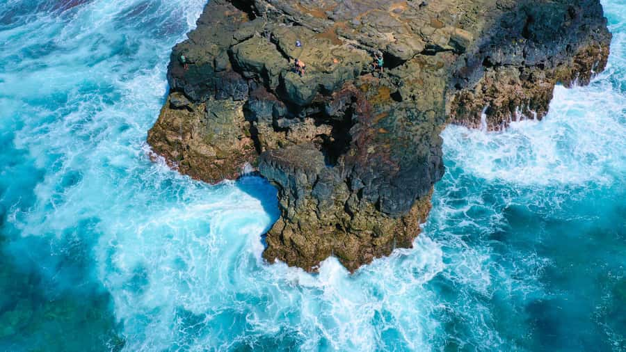 Mauritius: 3-Hour Hiking the Wild South Excursion - Gris Gris start: how the hike sets expectations fast