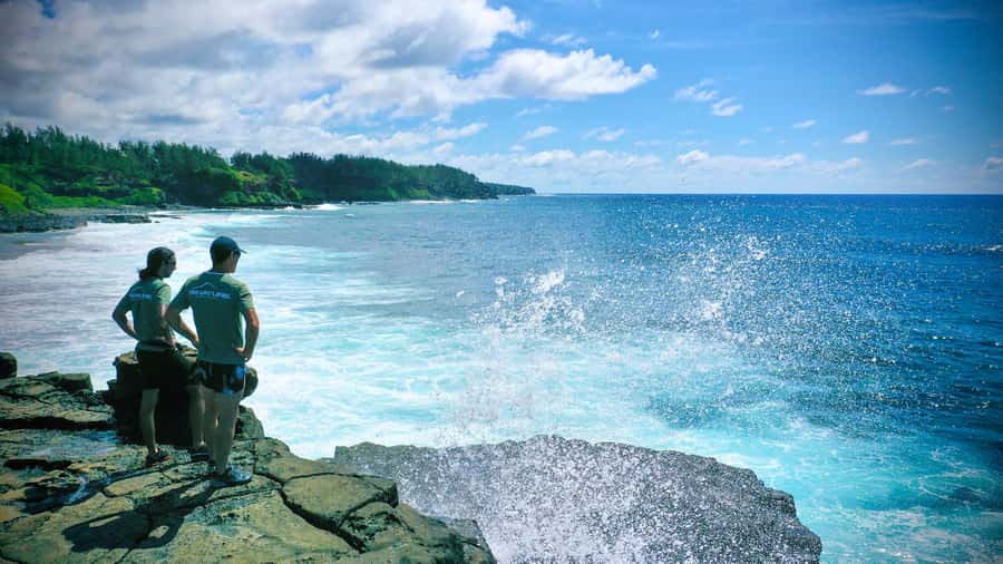 Mauritius: 3-Hour Hiking the Wild South Excursion - What your guide brings: nature stories you can use, not just facts