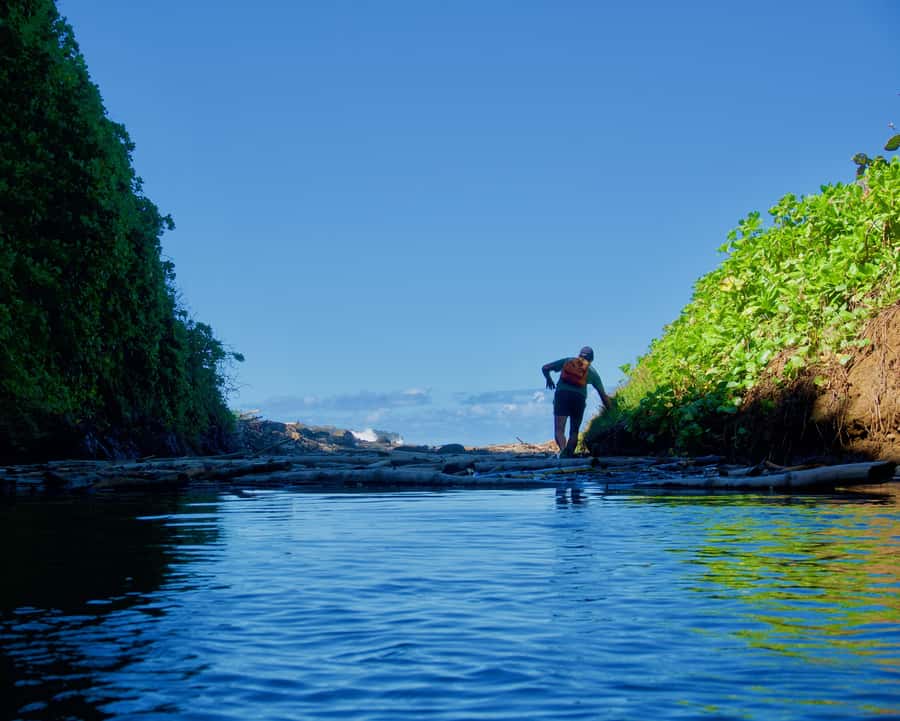 Mauritius: 3-Hour Hiking the Wild South Excursion - Forest and beach hiking in Mauritius’ wild south