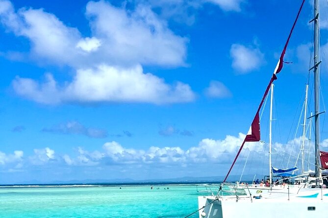 Mauritius 5-Day Private Excursion and Cruise - Coin de Mire: birds, possible dolphins, and why timing matters