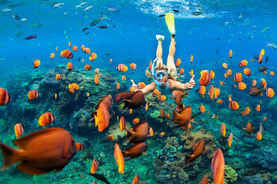 Mauritius: 5 East Coast Islands Tour with Snorkeling & Lunch - Meet Point, Pickup, and the 9 AM Start: Don’t Miss Your Boat
