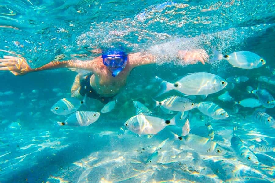 Mauritius: 5 East Coast Islands Tour with Snorkeling & Lunch - Ile aux Margenie BBQ Lunch and Drinks: Good Food, Know the Vegetarian Reality