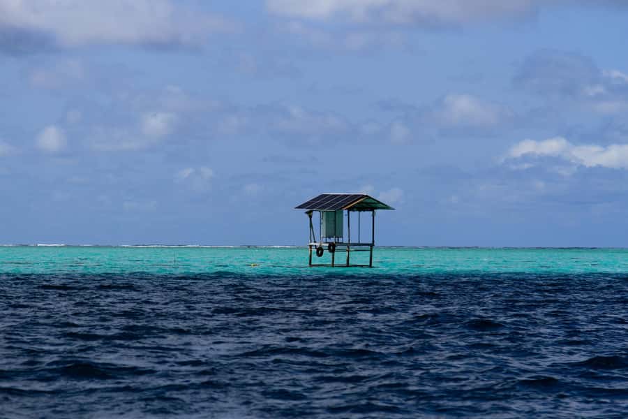 Mauritius 5 Islands Hopping Tours - PRIVATE BOAT - Ile aux Aigrettes: a short sightseeing pause with guided context