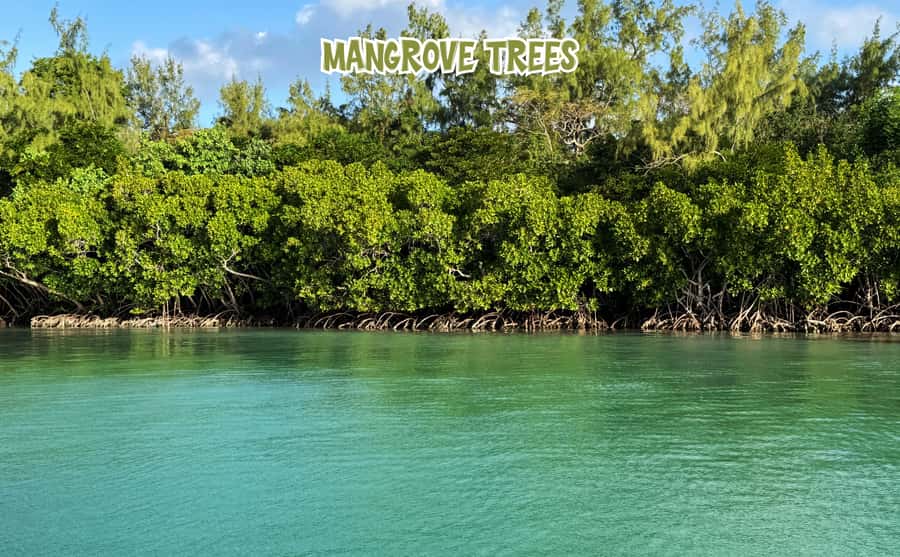 Mauritius: 5 Islands of the East Speedboat Tour with BBQ - What this 5-island speedboat day really gives you for $88