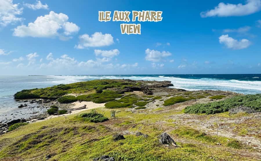 Mauritius: 5 Islands of the East Speedboat Tour with BBQ - The snorkeling plan: coral reef swim near Île aux Aigrettes