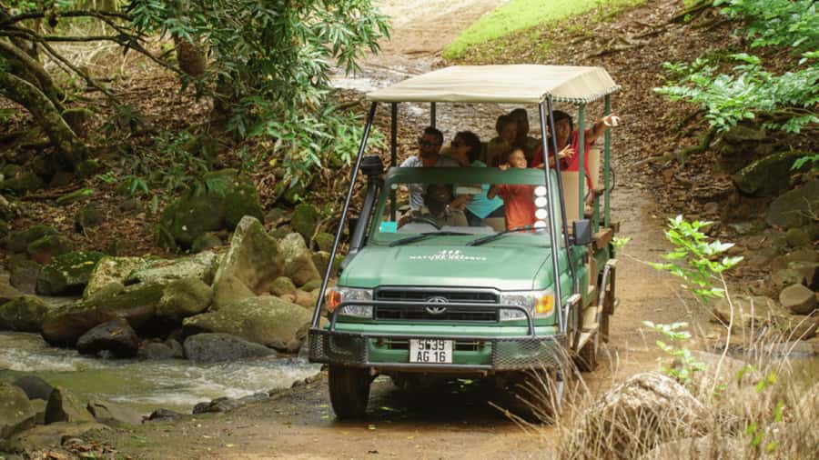 Mauritius: Bel Ombre Nature Reserve 4x4 Safari Adventure - Bel Ombre’s 4x4 safari: what makes this ride different in Mauritius