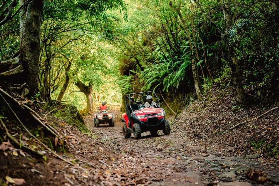 Mauritius: Bel Ombre Nature Reserve Quad Bike Tour - Waterfall stop at Cascade Frédérica or Cascade l’Exemple